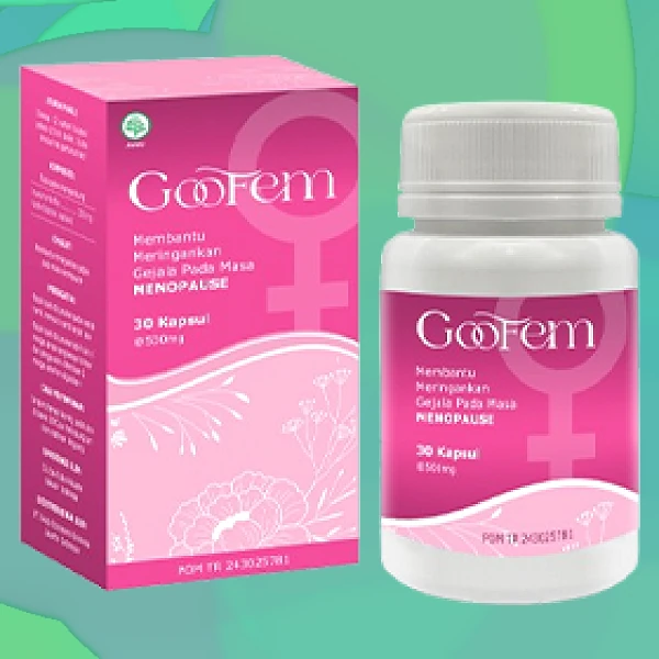 GOOFEM