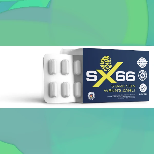 SX 66